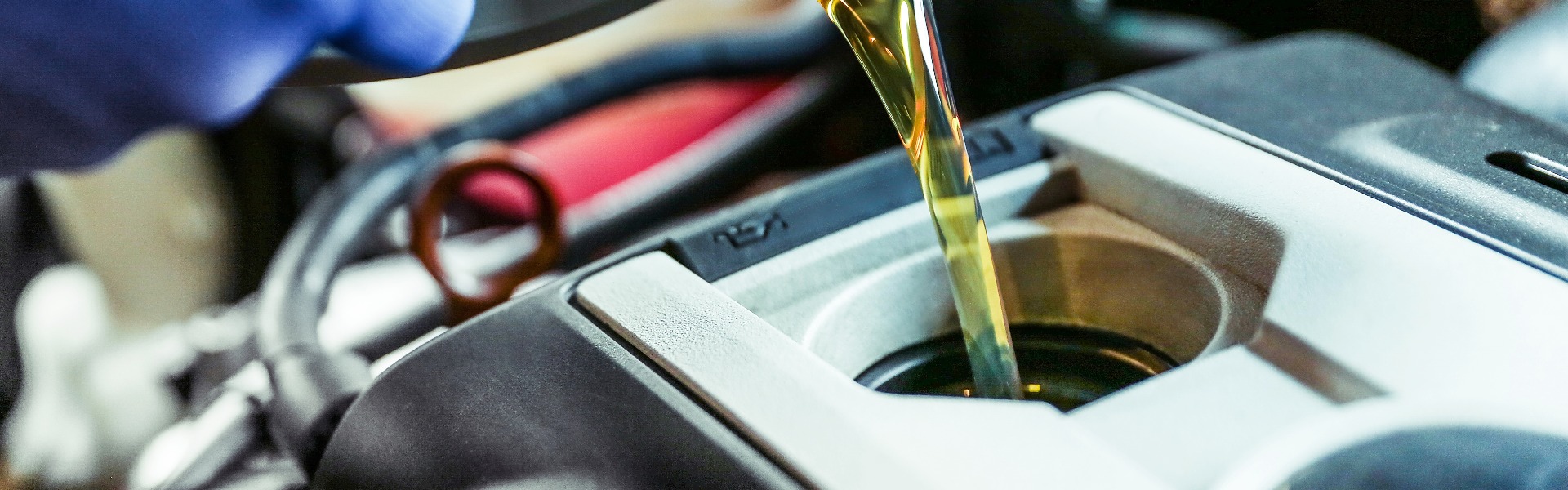 automobile oil is poured into the engine close up. pouring new oil into the engine. car engine oil change